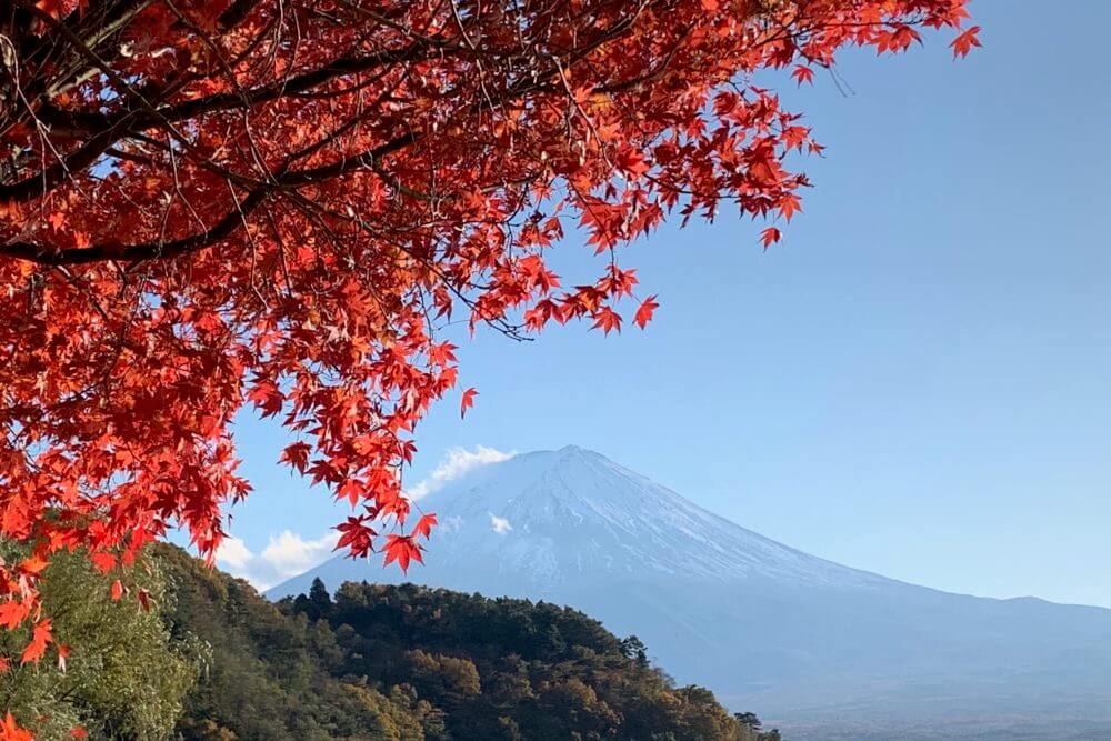 富士山 紅葉がきれいな秋のおすすめ観光スポット 山梨めぐり